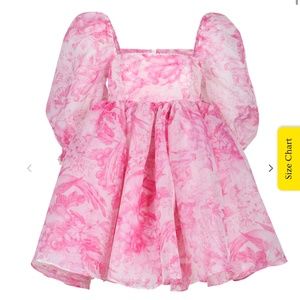 Selkie Puff Dress Pink